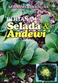 BERTANAM SELADA DAN ANDEWI