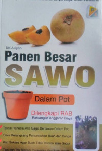 PANEN BESAR SAWO DALAM POT