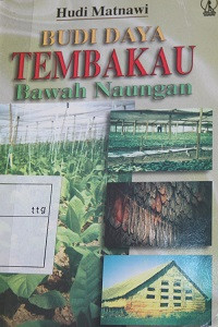 BUDIDAYA TEMBAKAU BAWAH NAUNGAN