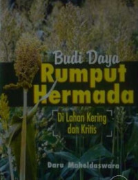 BUDIDAYA RUMPUT HERMADA DILAHAN KERING DAN KRITIS