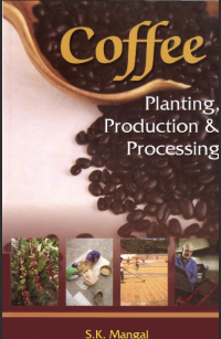 Coffee planting, production and processing