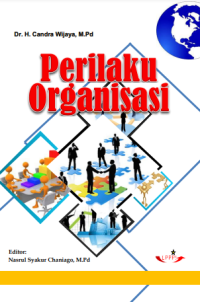 Perilaku organisasi