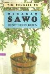 Image of MENANAM SAWO DI POT DAN DI KEBUN