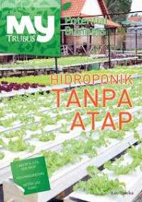 HIDROPONIK TANPA ATAP