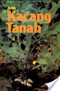 KACANG TANAH