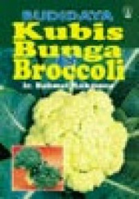 BUDIDAYA KUBIS BUNGA DAN BROCOLI