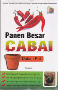 PANEN BESAR CABAI DALAM POT