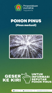 Pinus: Pohon