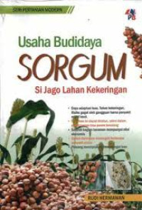 USAHA BUDIDAYA SORGUM : SI JAGO LAHAN KEKERINGAN