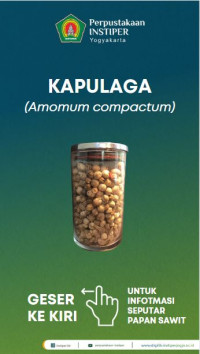 Kapulaga (Amomum compactum): Seri Infografis