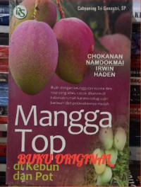 Mangga Top di Kebun dan Pot