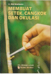 MEMBUAT SETEK, CANGKOK DAN OKULASI