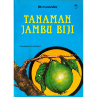 TANAMAN JAMBU BIJI