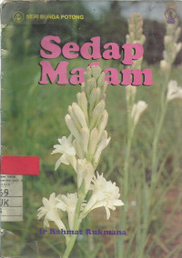 Image of SEDAP MALAM