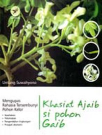 Image of KHASIAT AJAIB SI POHON GAIB