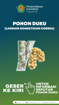 Image of Duku: Realia