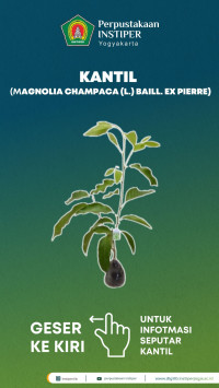 Image of Kantil: Realia