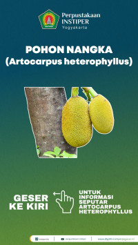 Image of Nangka: Realia