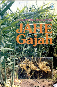 Image of JAHE GAJAH