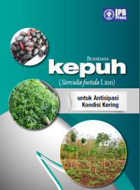 Image of BUDIDAYA KEPUH (Sterculia foetida Linn)